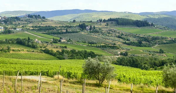 Chianti, Toscana — Foto de Stock