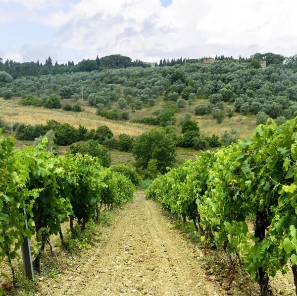 Chianti, Toszkána — Stock Fotó