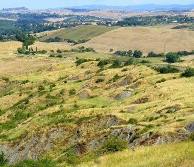 Girit senesi (Toskana, İtalya)