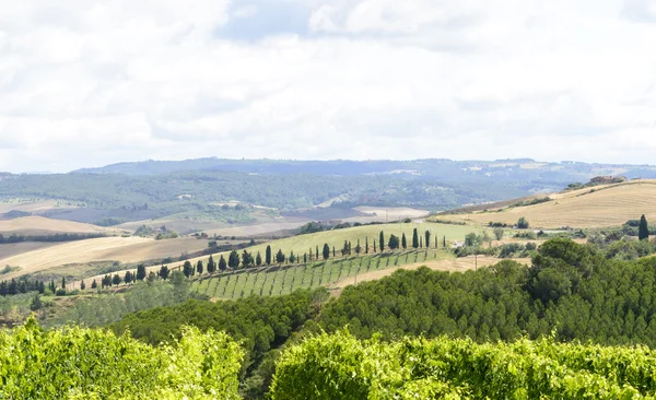 Κρήτη senesi (Τοσκάνη, Ιταλία) — Φωτογραφία Αρχείου