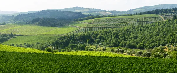 Chianti, Toscana — Stockfoto