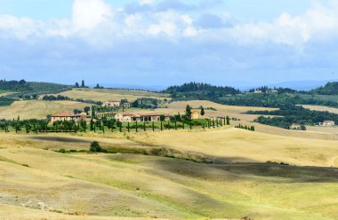 Girit senesi (Toskana, İtalya)