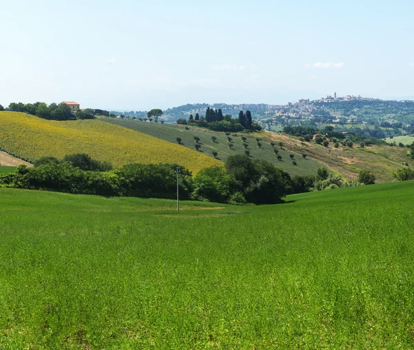 Paisaje de verano en Marcas (Italia) ) — Foto de Stock