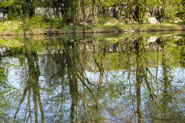 Парк Монца: река Ламбро — стоковое фото