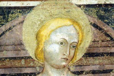 Agliate Brianza - kilise iç