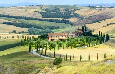 Girit senesi (Toskana, İtalya)