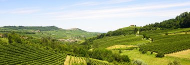 langhe (İtalya yaz peyzaj)