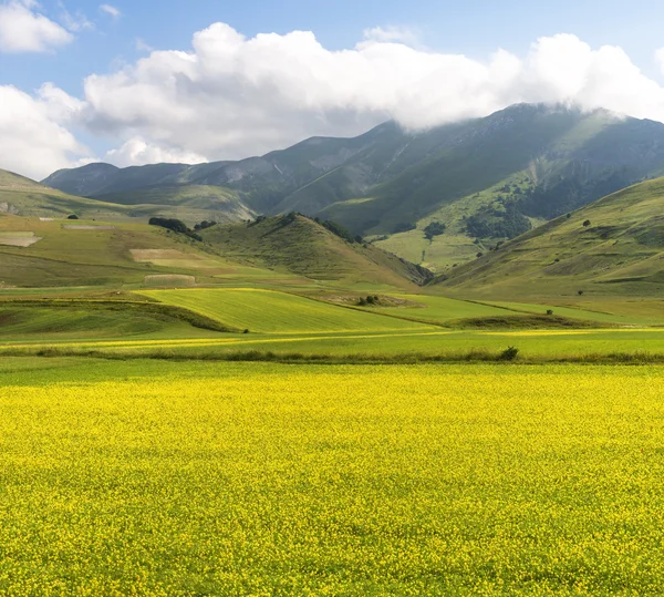 Piano Grande di Castelluccio (Włochy) — Zdjęcie stockowe