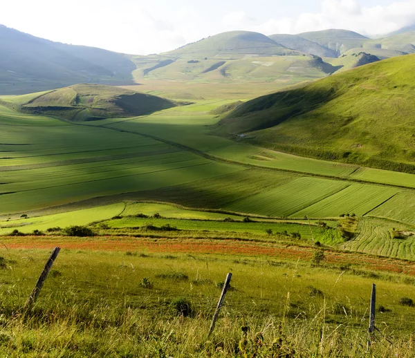 Piano Grande di Castelluccio (Itália) ) — Fotografia de Stock