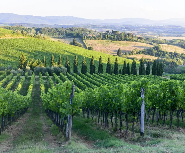 Chianti, Τοσκάνη — Φωτογραφία Αρχείου