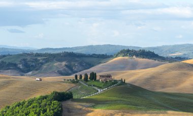 Girit senesi (Toskana, İtalya)
