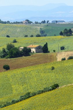 Yürüyüşleri (İtalya yaz peyzaj)