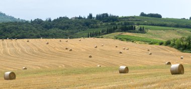 Montalcino (Toskana, İtalya)