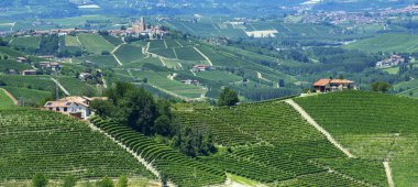 langhe (İtalya yaz peyzaj)