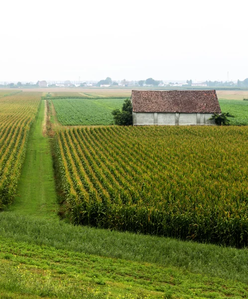 Po Nehri boyunca manzara — Stok fotoğraf