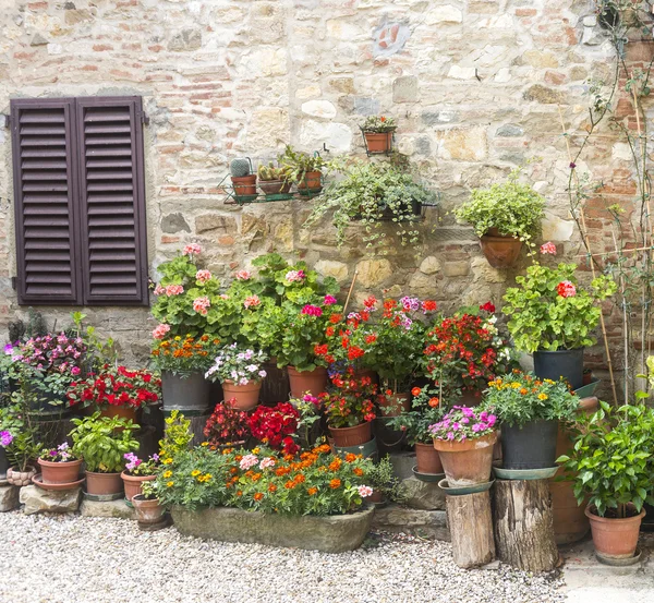 Montefioralle (chianti, Toskana) — Stok fotoğraf