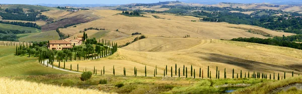 Girit senesi (Toskana, İtalya)