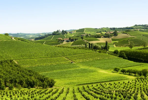 Nyári táj a Langhe régió (Olaszország) — Stock Fotó