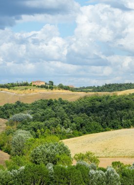 Girit senesi (Toskana, İtalya)