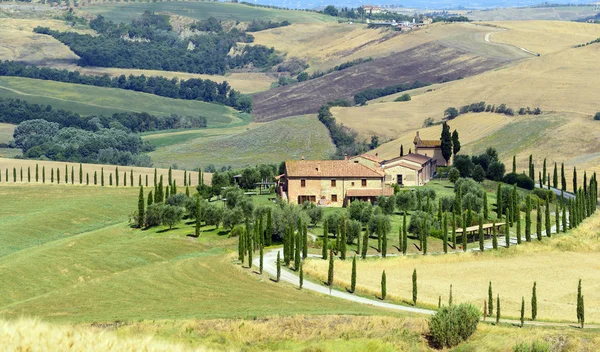 Crete senesi (Toscane, Italië) — Stockfoto