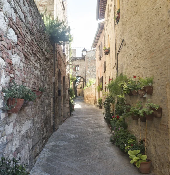 Colle di val d'elsa (Toskánsko) — Stock fotografie