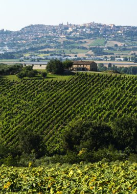 Yürüyüşleri (İtalya yaz peyzaj)