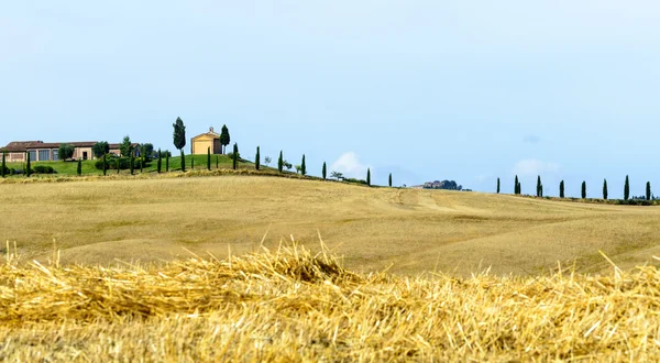 Girit senesi (Toskana, İtalya) — Stok fotoğraf