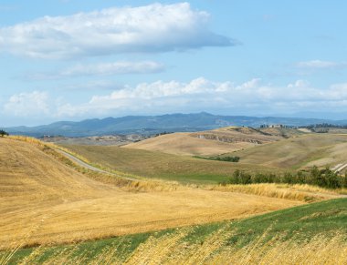 Girit senesi (Toskana, İtalya)