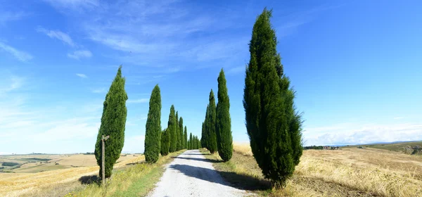 Crete Senesi (Tuscany, Italy) — Stock Photo, Image