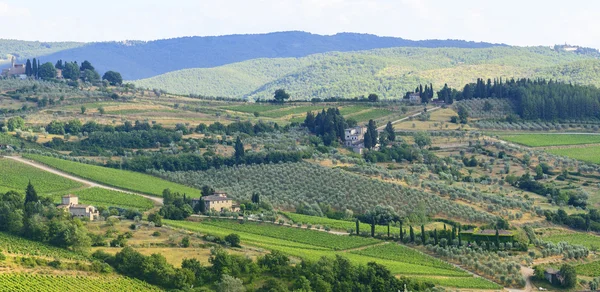 Chianti, Toscana — Fotografia de Stock