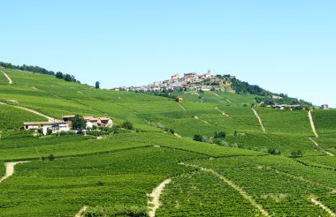 langhe (İtalya yaz peyzaj)