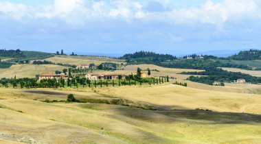 Girit senesi (Toskana, İtalya)