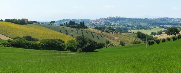 Summer landscape in Marches (Italy) — Stock Photo, Image