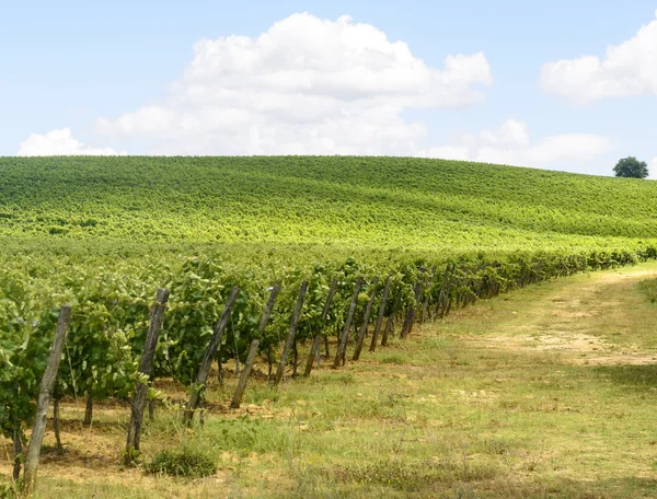 Colle di val d'elsa (Toskania) — Zdjęcie stockowe