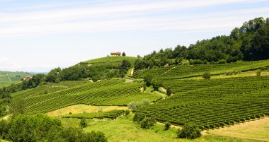 langhe (İtalya yaz peyzaj)
