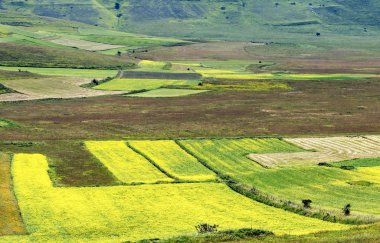 Piyano Grande di Castelluccio (İtalya)