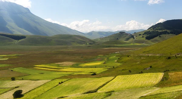 Piano Grande di Castelluccio (Италия) ) — стоковое фото