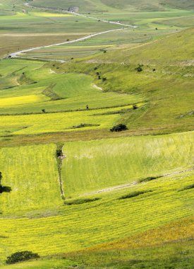 Piyano Grande di Castelluccio (İtalya)