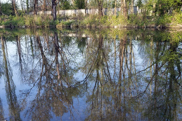 Monza Park: Lambro folyó — Stock Fotó