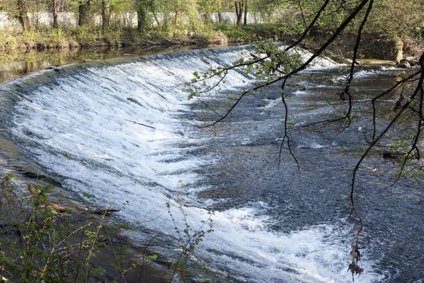 Parque Monza: cascada —  Fotos de Stock