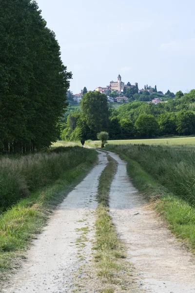 Monferrato (Piemonte): landskap — Stockfoto