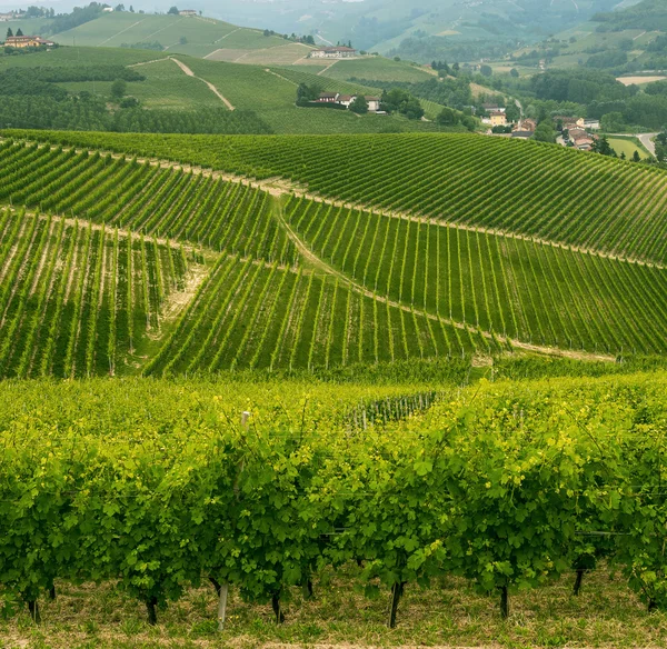 Táj a Langhe régió (Piemont) — Stock Fotó