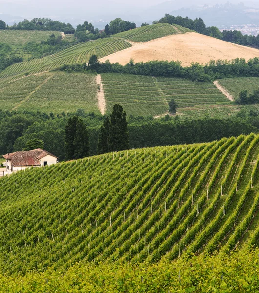Krajobraz w Langhe (Piemont) — Zdjęcie stockowe