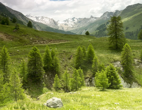 在法国的山地景观 — 图库照片