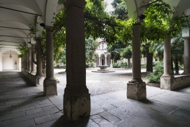 Pavia (İtalya): üniversite