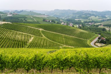 Langhe (Piedmont peyzaj)