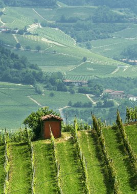 Langhe (Piedmont peyzaj)