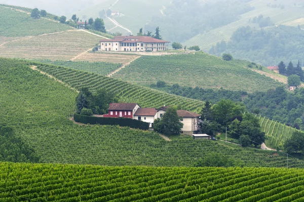 Paisaje en Langhe (Piamonte ) — Foto de Stock