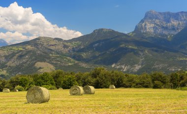 Haute Provence peyzaj