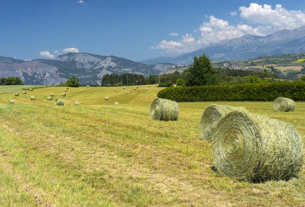 Krajobraz w Haute Provence — Zdjęcie stockowe